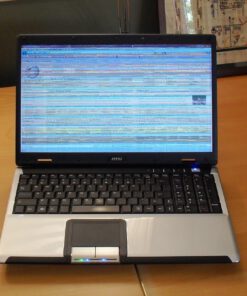 Màn hình laptop Toshiba C875 Giá Rẻ Tại Gò Vấp